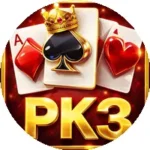 Pak3 Game