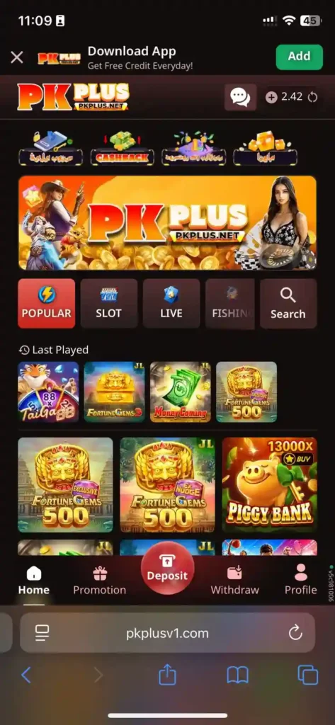 pkplus