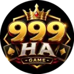 999HA Game